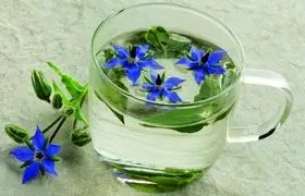 این دمنوش سرشار از ویتامین C است و کلیه‌ها را تقویت می‌کند + روش تهیه