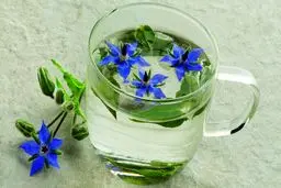 این دمنوش سرشار از ویتامین C است و کلیه‌ها را تقویت می‌کند + روش تهیه