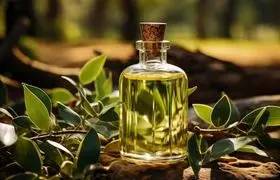 گیاهی که برای آبرسانی پوست و تسکین درد مفاصل معجزه می کند!