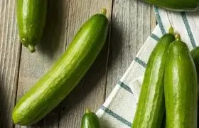 ۵ خوراکی که بهترین ترکیب را با خیار شکل می‌دهند