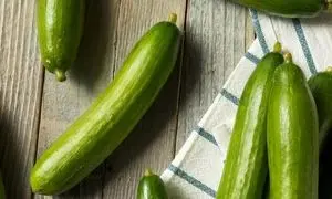 ۵ خوراکی که بهترین ترکیب را با خیار شکل می‌دهند