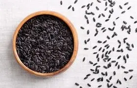 برنج سیاه؛ غله‌ای باستانی در خدمت تغذیه آینده