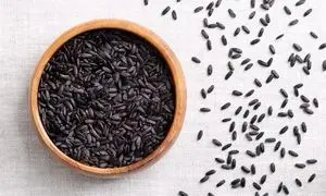 برنج سیاه؛ غله‌ای باستانی در خدمت تغذیه آینده