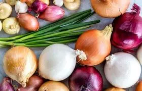 کاربرد انواع پیاز در آشپزی ؛ کدام رنگ پیاز برای چه غذایی مناسب‌تر است؟