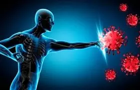 این میوه سیستم ایمنی بدن را تقویت می‌کند