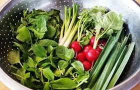 کالری ۱۰۰ گرم سبزی خوردن چقدر است؟ + جدول ارزش غذایی ۱۰۰ گرم سبزی خوردن