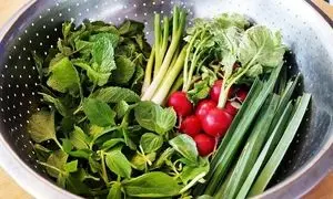 کالری ۱۰۰ گرم سبزی خوردن چقدر است؟ + جدول ارزش غذایی ۱۰۰ گرم سبزی خوردن