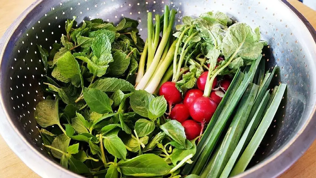 کالری ۱۰۰ گرم سبزی خوردن چقدر است؟ + جدول ارزش غذایی ۱۰۰ گرم سبزی خوردن