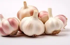 بدترین روش نگهداری سیر که می‌تواند مرگبار باشد!