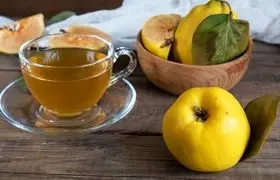 طرز تهیه دمنوش به‌دانه و فواید آن برای سرفه و سرماخوردگی