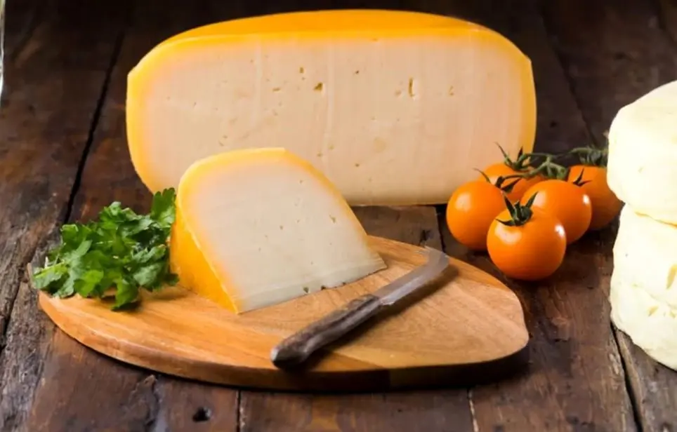 طرز تهیه پنیر گودا خانگی؛ راحت و سریع