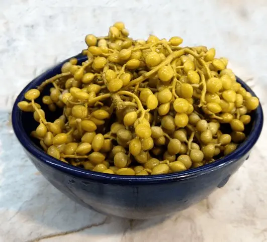 دستور تهیه ترشی بنه با طعمی خاص