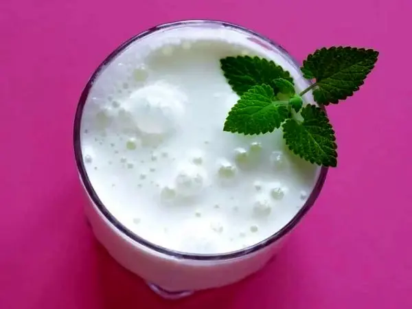 طرز تهیه دوغ گازدار خانگی به ۴ روش