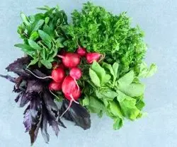 قلق نگهداری سبزی خوردن و راه حل سبزی پلاسیده