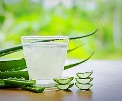 طرز تهیه نوشیدنی کیوی و آلوئه ورا