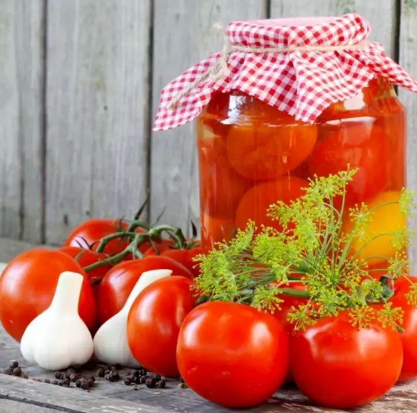 طرز تهیه گوجه شور به روش سنتی مشهد