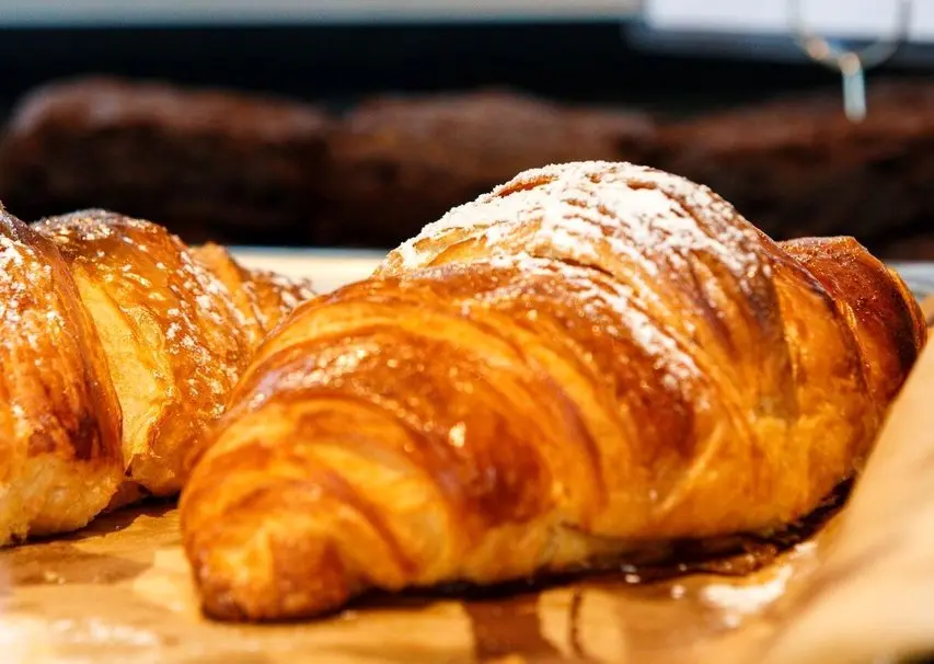 طرز تهیه کروسان مرغ؛ غذایی جدید و جذاب