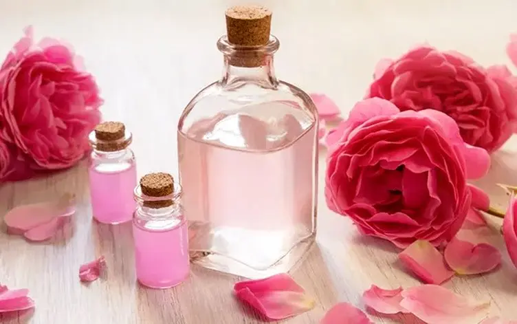 گلاب؛ عصاره‌ای برای زیبایی و سلامت