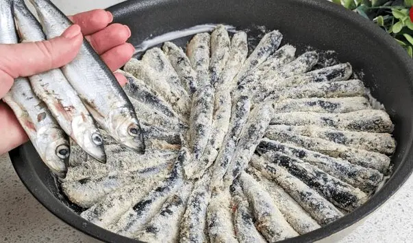 (ویدئو) طرز تهیه یک غذای خوشمزه آلمانی با ماهی کیلکا