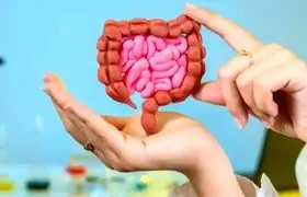 این خوراکی‌ها را با معده خالی نخورید