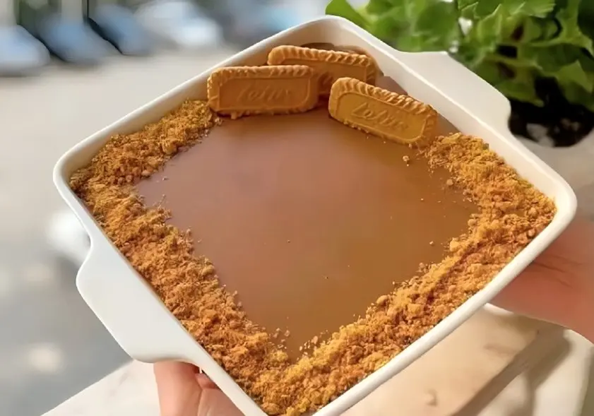 (ویدیو) دسر بیسکوییتی؛ یک دسر خوشمزه و لطیف