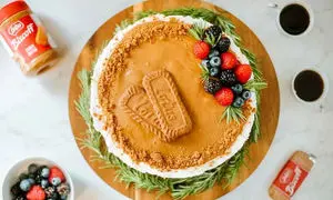  دسر بیسکوییت و انار با کرم لوتوس؛ ویژه شب چله