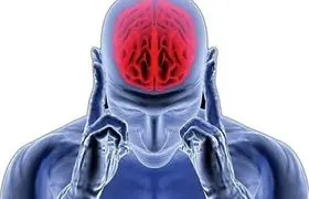 یک رژیم غذایی خاص؛ کلید داشتن مغزی سالم و فعال