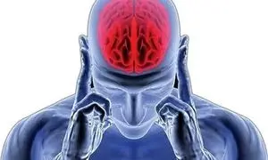 یک رژیم غذایی خاص؛ کلید داشتن مغزی سالم و فعال