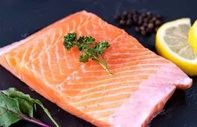 کدامیک امگا ۳ بیشتری دارد؛ ماهی سالمون یا تن؟