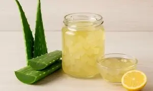 طرز تهیه کمپوت آلوورا و خواص آن