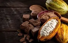  شکلاتی که کمترین ارزش تغذیه‌ای را دارد | روزانه چقدر کاکائو بخوریم چاق نشویم؟