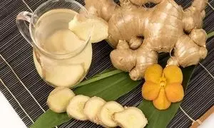 «جینجر باگ»؛ باگ زنجبیل، نوشیدنی تازه‌نفس برای سلامت روده