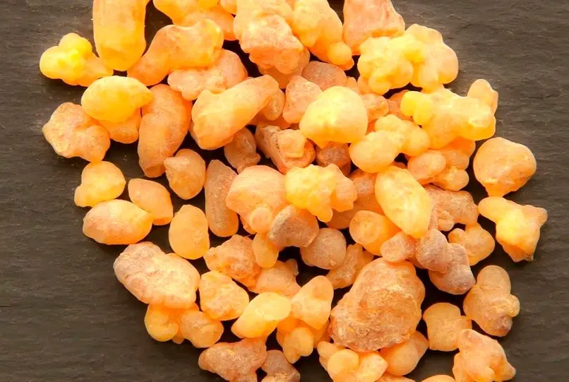 خواص کندر که شما را شگفت زده خواهند کرد؛ ۹ فایده مهم