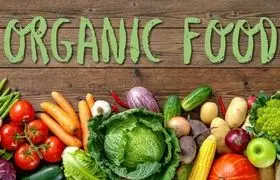 غذاهای ارگانیک؛ ناجی سلامتی یا یک مد گران قیمت؟