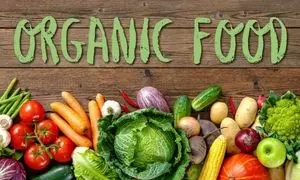 غذاهای ارگانیک؛ ناجی سلامتی یا یک مد گران قیمت؟