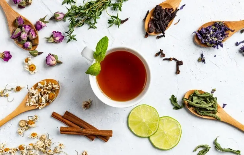 دمنوش های گیاهی خواب آور و آرام بخش را بشناسید