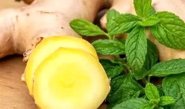 زنجبیل یا نعناع؛ کدام یک برای رفع حالت تهوع بهتر است؟