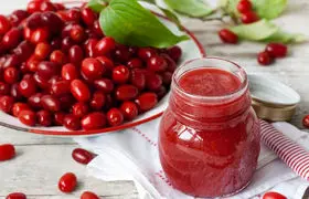 زغال اخته؛ میوه جنگلی کوچک با خواص دارویی فراوان