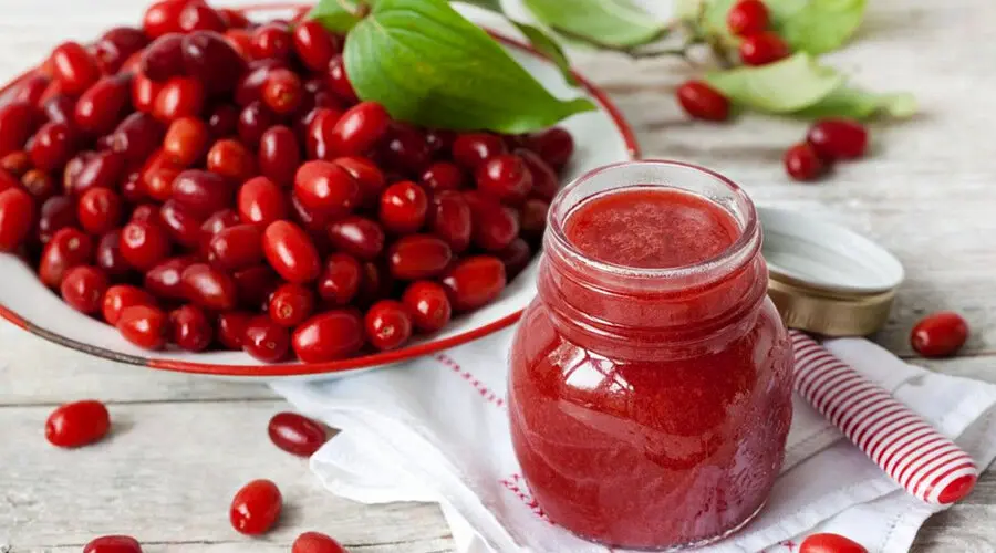 زغال اخته؛ میوه جنگلی کوچک با خواص دارویی فراوان