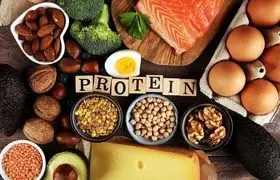 چقدر پروتئین بخوریم خطرناک نیست؟