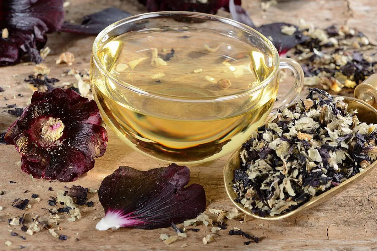 دمنوش گل ختمی برای چی خوبه ؟؛ طرز تهیه دمنوش گل ختمی + عوارض آن