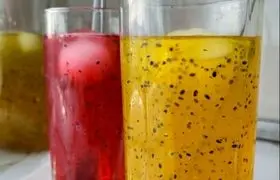 طرز تهیه شربت ژله‌ای با تخمه شربتی؛ مجلسی و ساده 