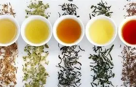 بهترین دمنوش‌های گیاهی برای نفخ شکم و معده