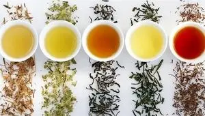 بهترین دمنوش‌های گیاهی برای نفخ شکم و معده