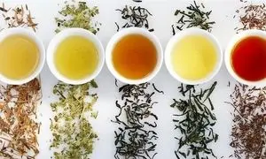 بهترین دمنوش‌های گیاهی برای نفخ شکم و معده