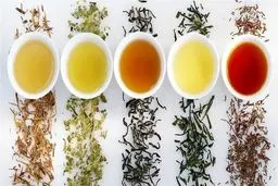 بهترین دمنوش‌های گیاهی برای نفخ شکم و معده