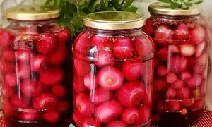 ترشی پیاز ؛ ترفند خوش رنگ شدن این خوشمزه زمستانی