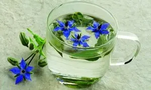 این دمنوش سرشار از ویتامین C است و کلیه‌ها را تقویت می‌کند + روش تهیه