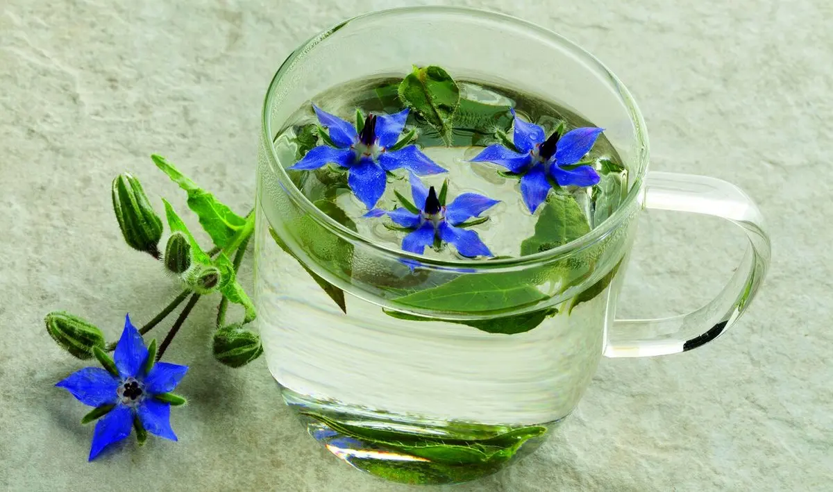 این دمنوش سرشار از ویتامین C است و کلیه‌ها را تقویت می‌کند + روش تهیه