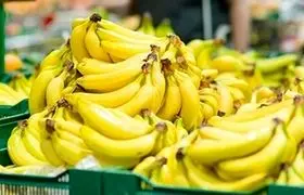 ۷ فایده معجزه آسای موز برای بدن